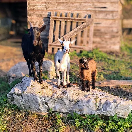 Saisonnee 3* Centres