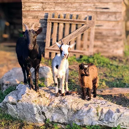 Saisonnée Affittacamere Centres
