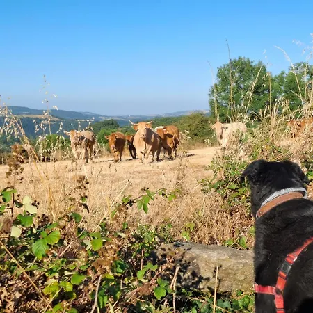 Vendégház Saisonnee - D'hotes Et Table D'hotes En Aveyron Centres