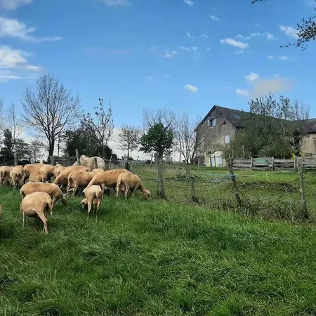 Saisonnée Affittacamere 3*